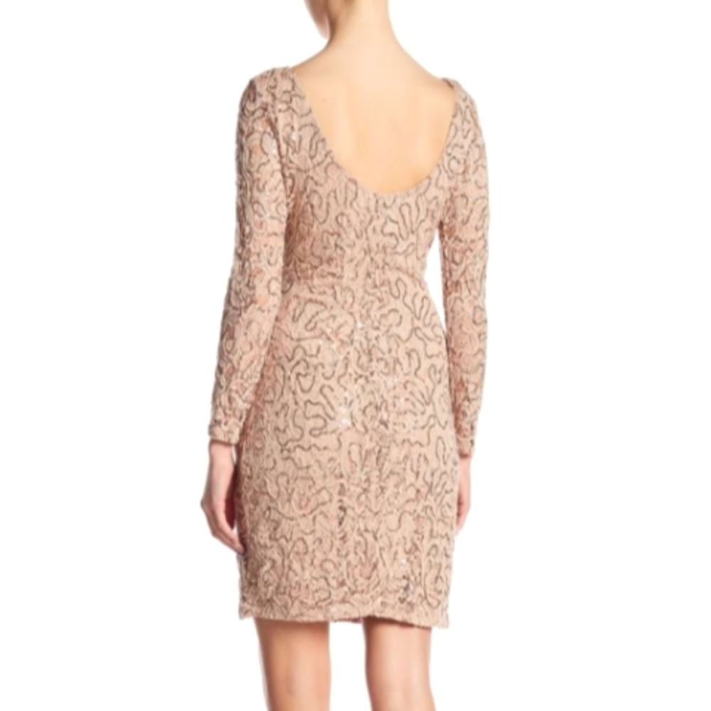 Nordstrom Marina Dress Taupe Lace Sequin - Picture 2 of 6